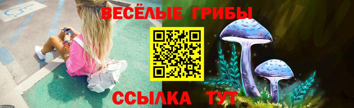 где найти   Псилоцибиновые грибы Psilocybe  Галлюциногенные грибы Psilocybe  Вход с VPN  Куйбышев 